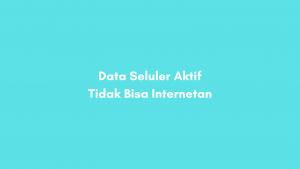 Data Seluler Aktif Tapi Tidak Bisa Internetan