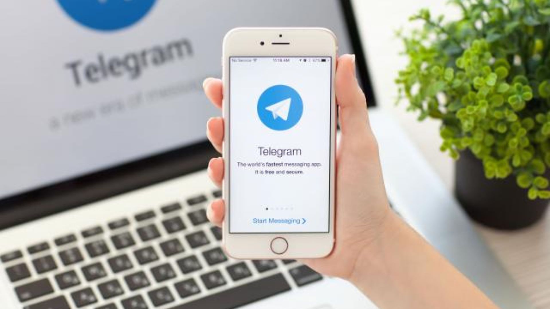 3 Cara Menambah Teman di Telegram