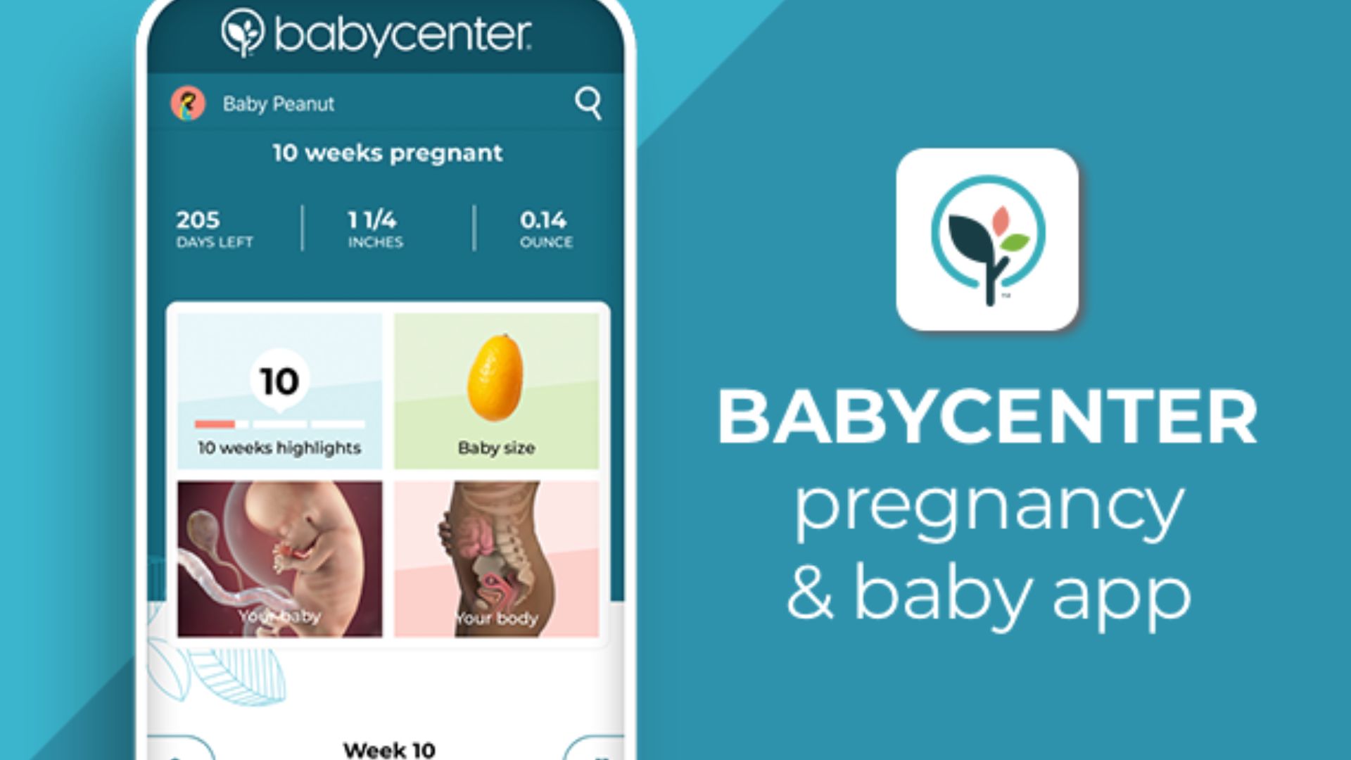 BabyCenter My Pregnancy